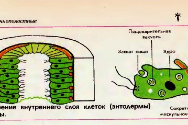 Kraken что это за магазин