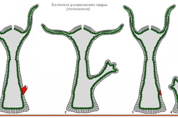 Магазины с наркотиками