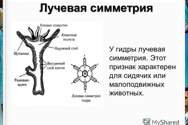 Кракен ссылка тор